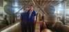 Đ/c Võ Văn Liên-PCT HND tỉnh Phú Yên thăm mô hình trang trại lạnh nuôi heo thịt hộ ông Nguyễn Văn Hảo
