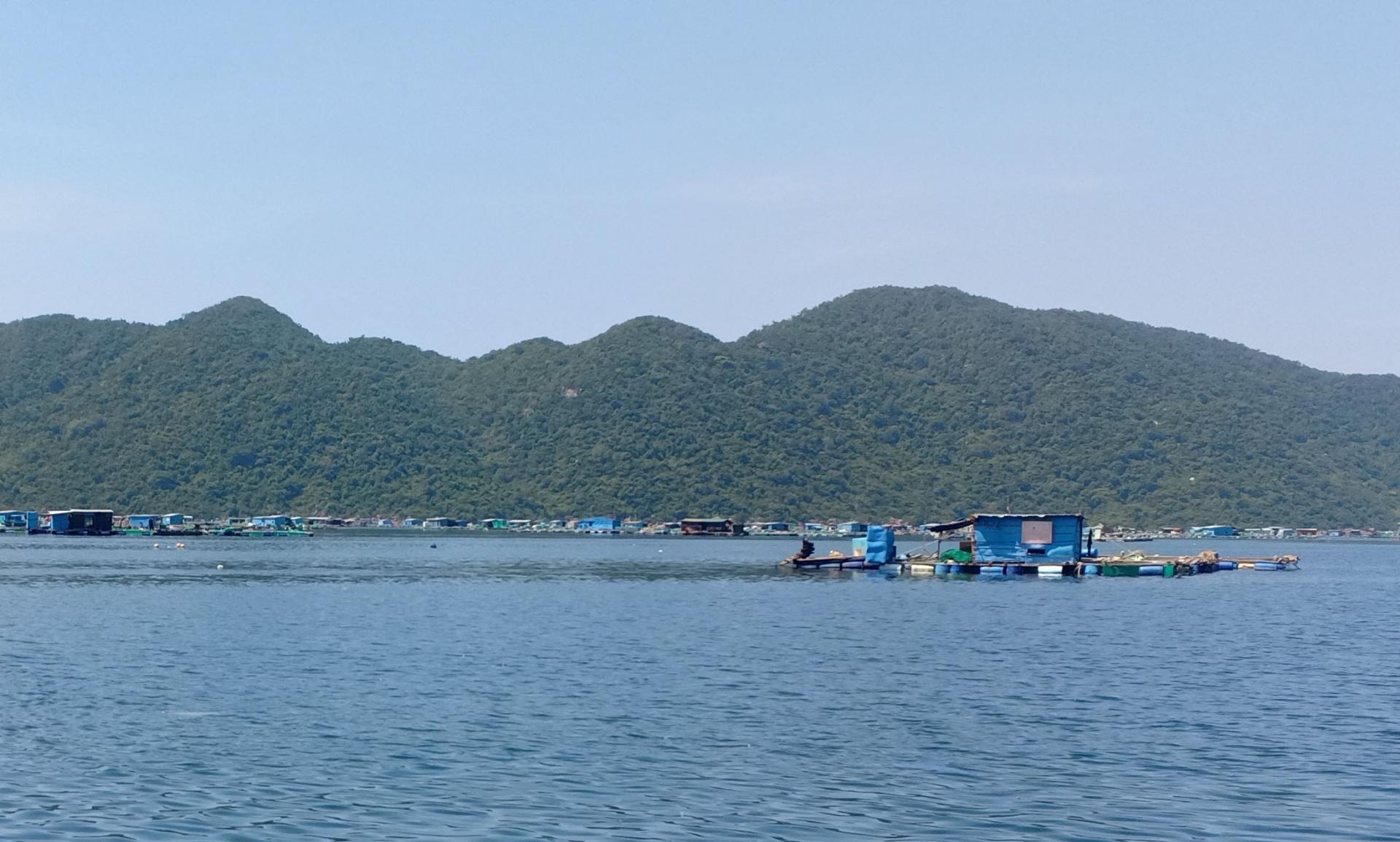 Nuôi thủy sản bằng lồng bè tại khu vực Vũng Rô, TX Đông Hòa. Ảnh: NGUYỄN QUANG